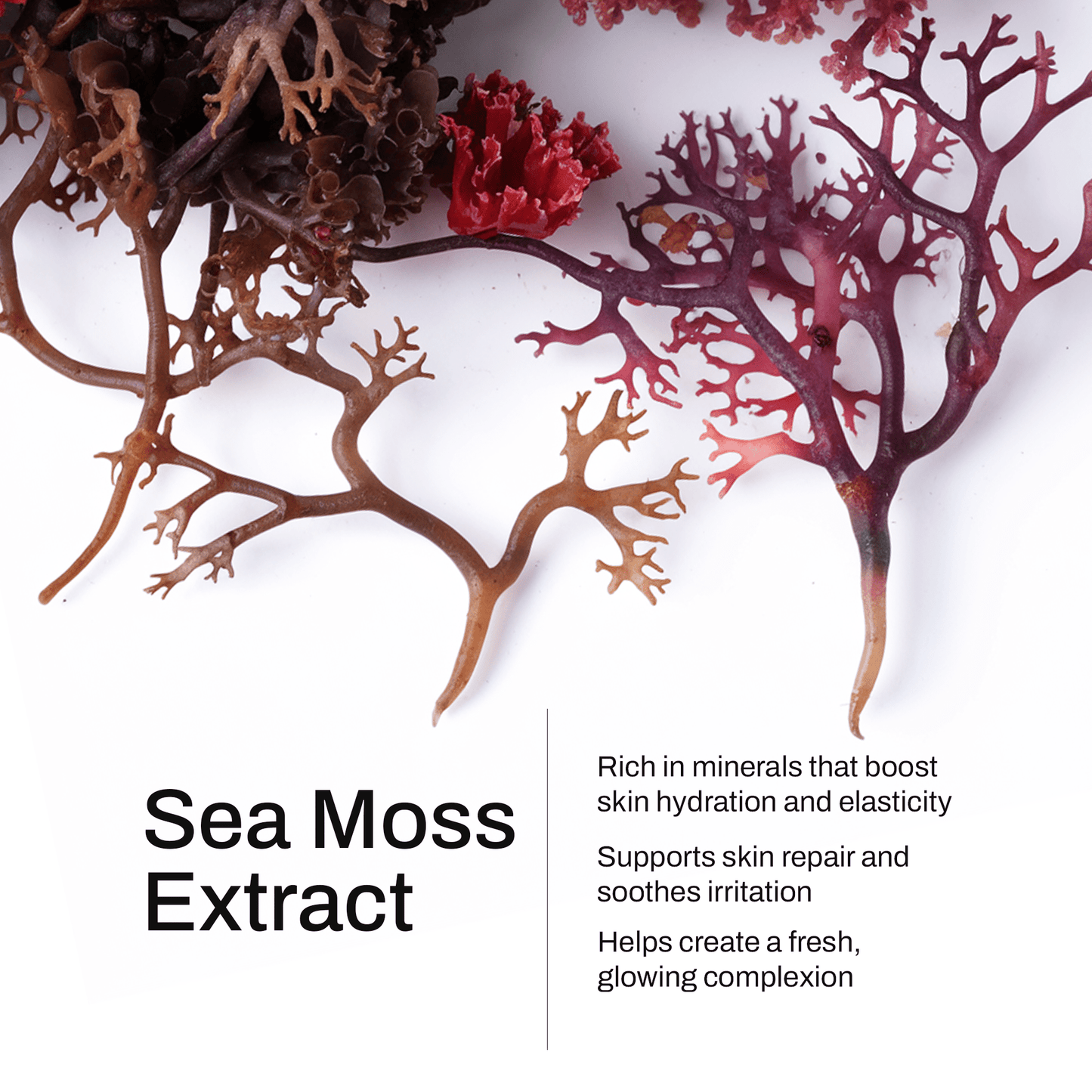 Smooth Ritual Manuka Honey Sea Moss Body Oil