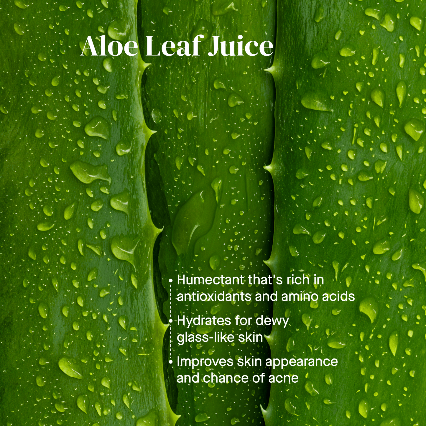 Ritual Rinse Foaming Oil Cleanser