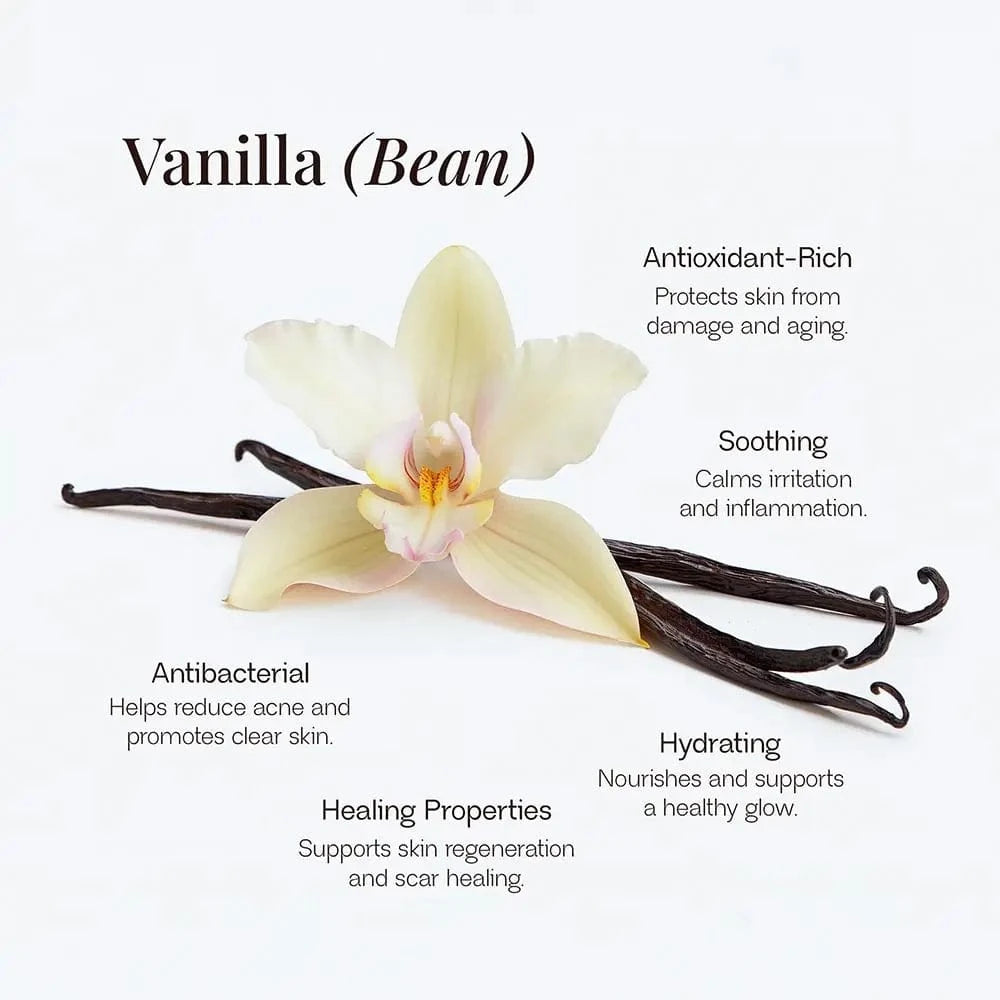 Vanilla bean with flower on a white background, featuring text about its properties.