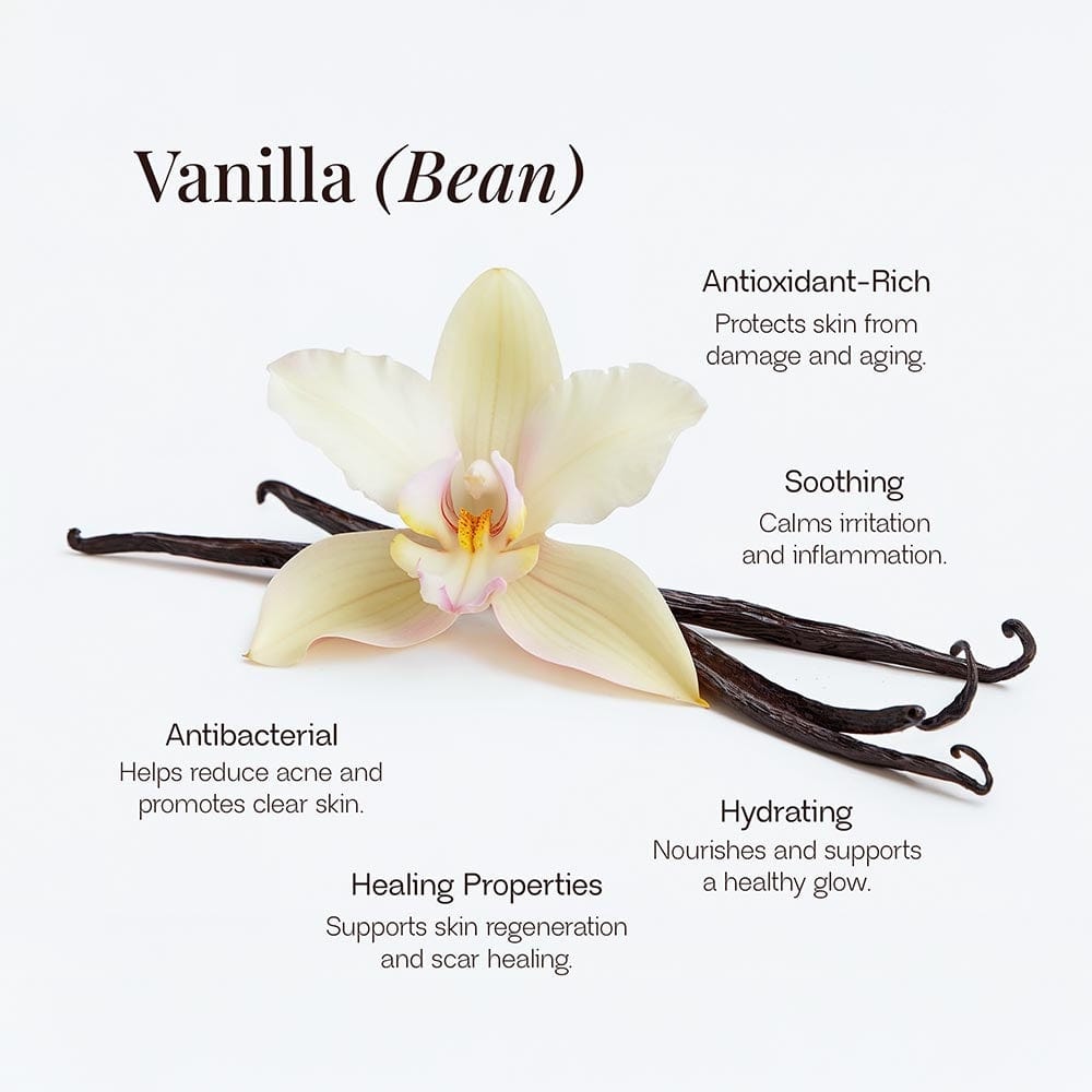 Bare Nectar Whipped Grass-Fed Tallow Balm with Vanilla Bean