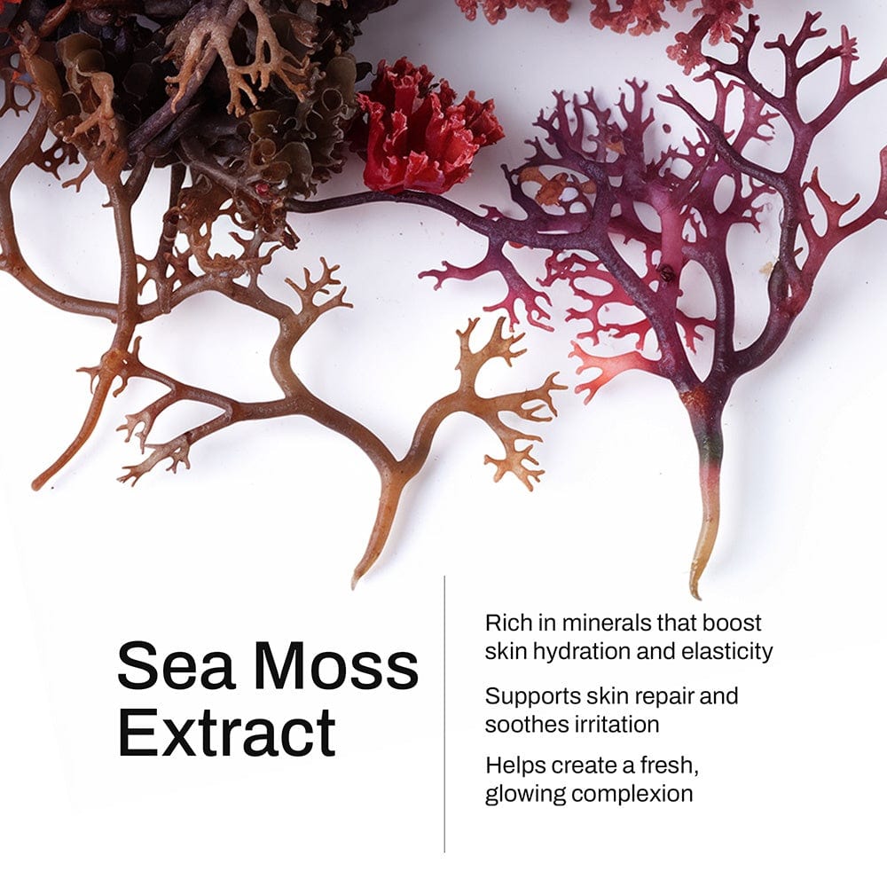 Smooth Ritual Manuka Honey Sea Moss Body Oil