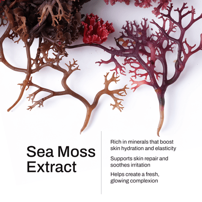 Smooth Ritual Manuka Honey Sea Moss Body Oil